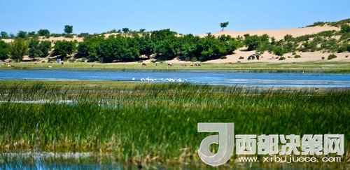 阿魯科爾沁保護(hù)區(qū)濕地沙丘。吳勇攝