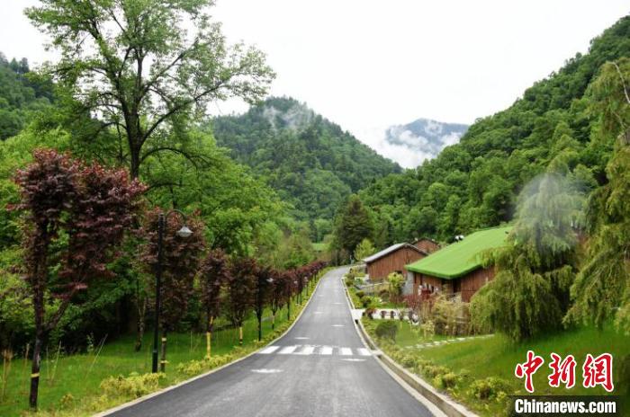 九寨溝熊貓園外景?！【耪瘻峡h委宣傳部提供 攝