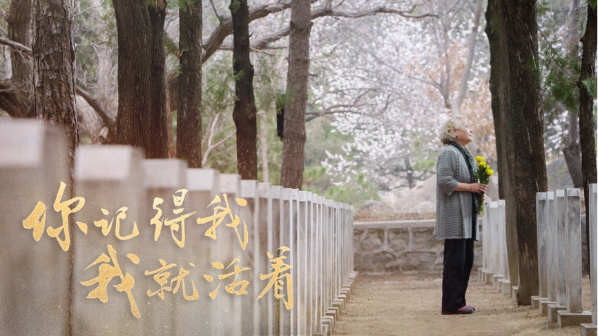 圖片 1d.png
