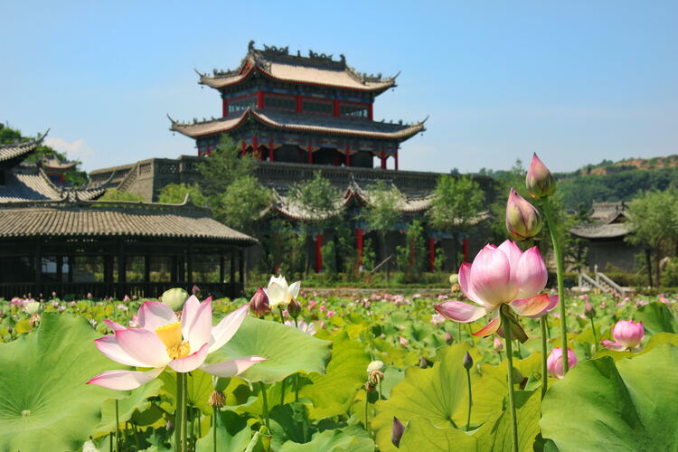 【云游渭南】心中若有桃花源，此處便是水云間！待疫情散盡，一起來(lái)渭南桃花源賞美景、觀民俗、享美食_fororder_2