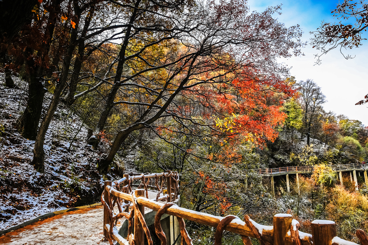 【云游渭南】待到春暖花開(kāi)之時(shí)，我們相約草長(zhǎng)鶯飛的少華山！_fororder_冬雪初吻