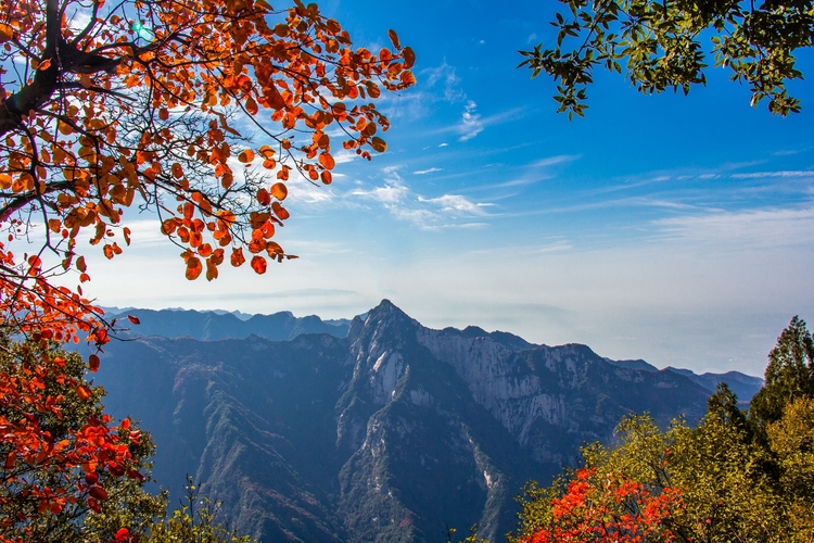 【云游渭南】待到春暖花開(kāi)之時(shí)，我們相約草長(zhǎng)鶯飛的少華山！_fororder_少華峰